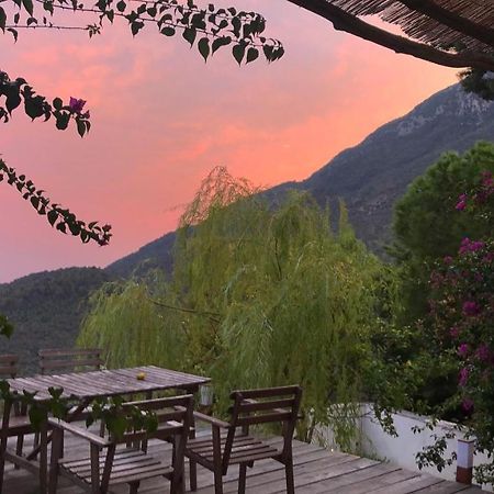 Casa Flora Bed & Breakfast Vietri Екстериор снимка