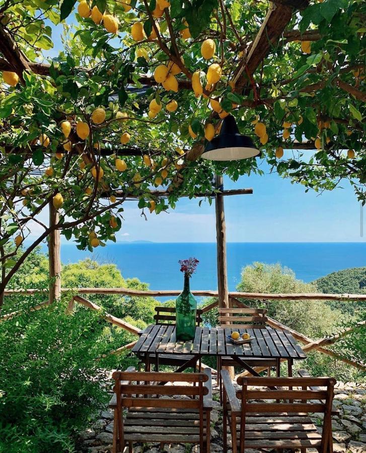 Casa Flora Bed & Breakfast Vietri Екстериор снимка
