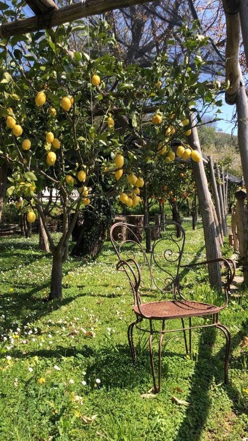 Casa Flora Bed & Breakfast Vietri Екстериор снимка