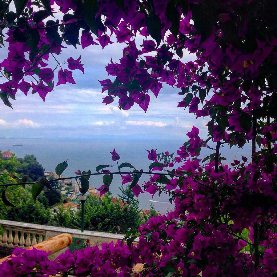 Casa Flora Bed & Breakfast Vietri Екстериор снимка